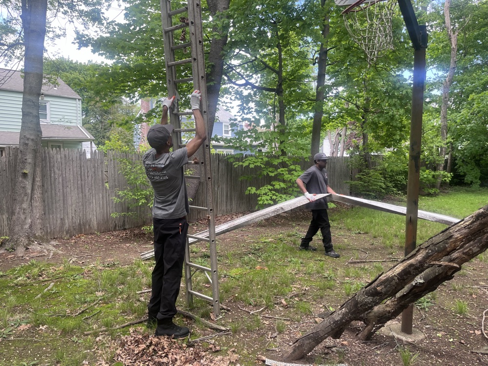 New gallery image - Description of recent junk removal work